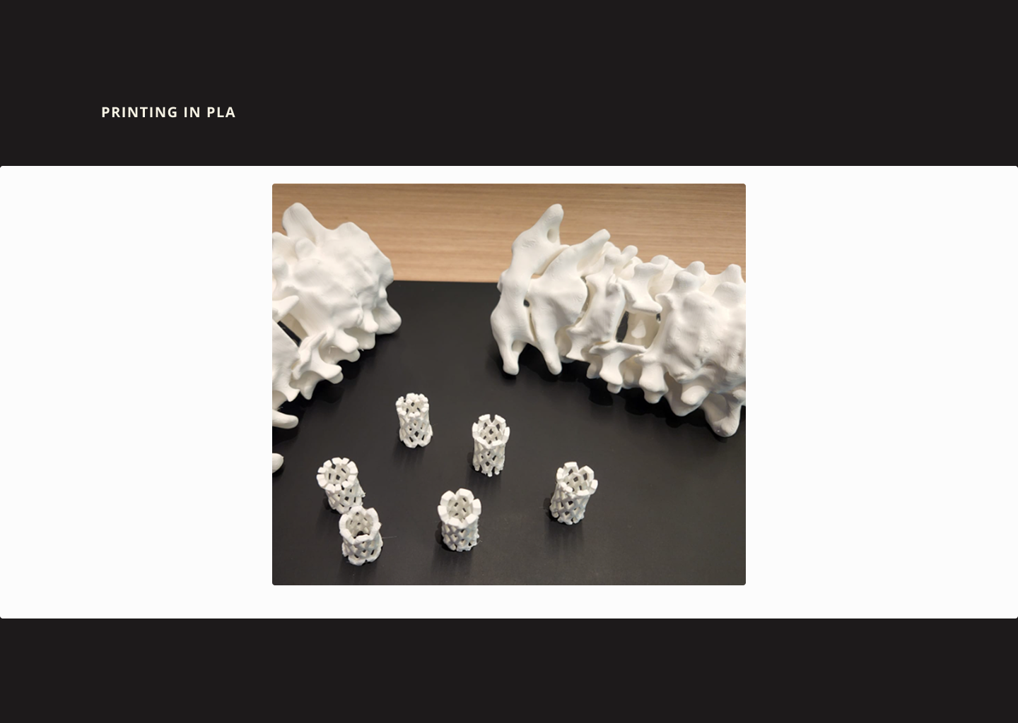 Slide 18 - Printing in PLA